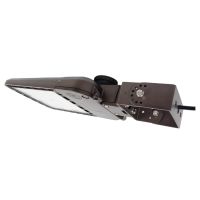 C-AR-A-SAL Series 22L Area Light w/ trunnion mount
