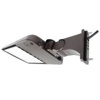 C-AR-A-SAL Series 45L Area Light w/ 8-inch direct arm mount