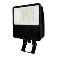 C-Lite LED Flood Light