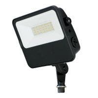 C-Lite LED Flood Light