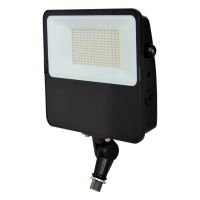 C-Lite LED Flood Light