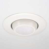 CR6T Gimbal White Trim Downlight