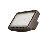 Cree Lighting® Noctura® Series LED Flood Light