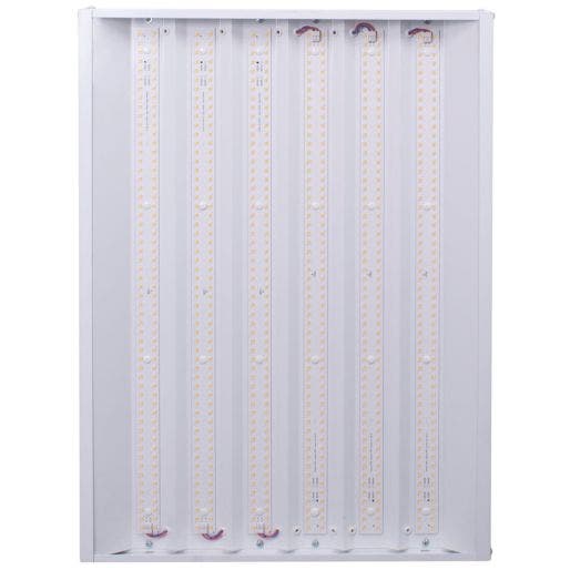 Nicor hbl3 top