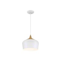 Access Lighting | Blend Pendant Series 12-inch LED Pendant Mount