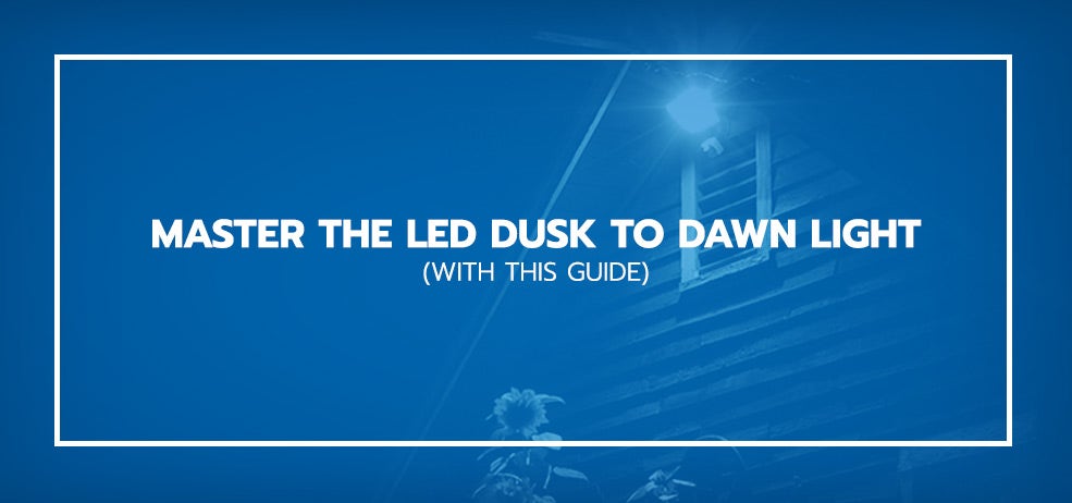 Master The LED Dusk to Dawn Light (With This Guide)